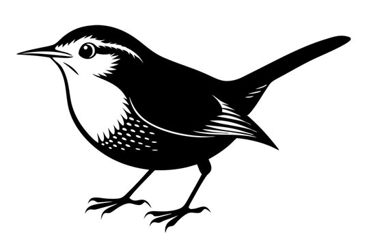 recommend clip art: wren silhouette vector illustration