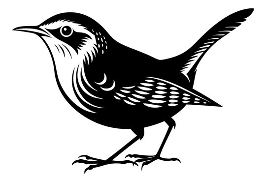 recommend clip art: wren silhouette vector illustration