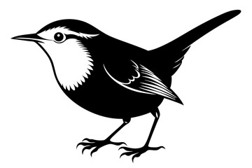 wren silhouette vector illustration