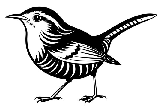 recommend clip art: wren silhouette vector illustration
