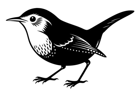 black and white bird standing clip art preview
