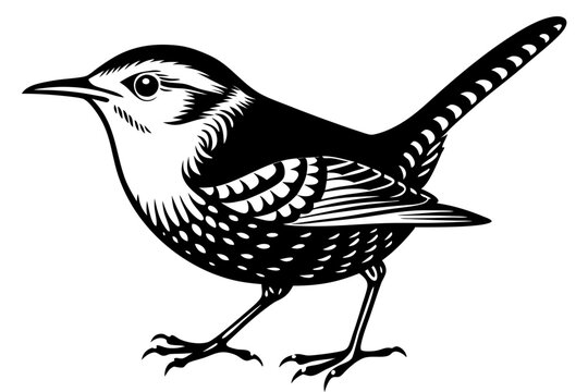 recommend clip art: wren silhouette vector illustration