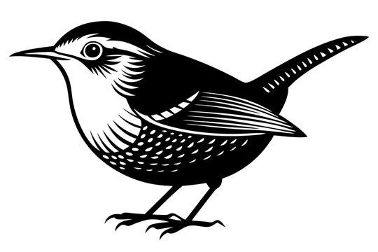 recommend clip art: wren silhouette vector illustration