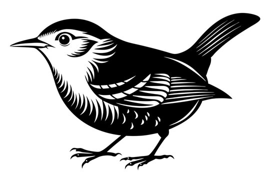 recommend clip art: wren silhouette vector illustration
