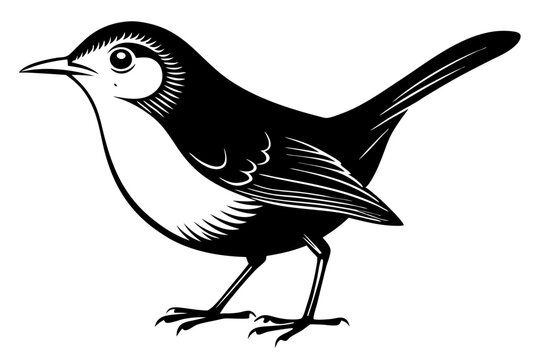 recommend clip art: wren silhouette vector illustration