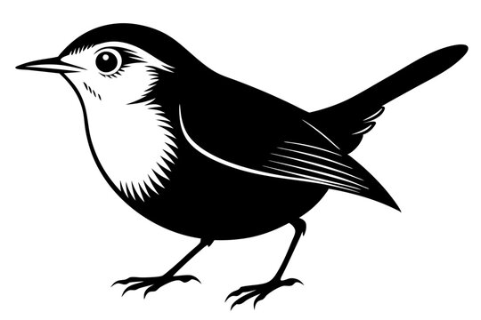 recommend clip art: wren silhouette vector illustration