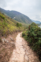 Obraz premium Winding Path Through Verdant Hillsides