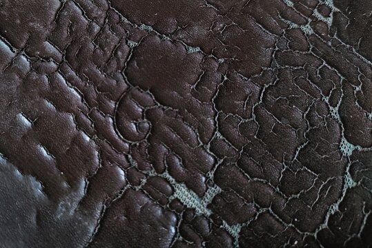 Abstract pattern texture background and nature background can be used as a background for banners and others