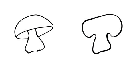 Illustration of autumn forest plants. Graphic vintage mushrooms with stars. Botanical illustrations. Witch mushrooms for Halloween. Graphic vintage doodle illustration with space magic mushrooms.