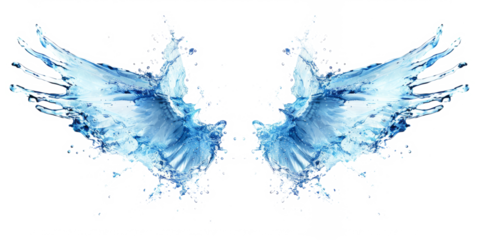 Symmetrical water splash looking like wings, isolated on white.