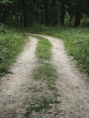 Fototapeta premium Creating a roadmap to success involves understanding the importance of every decision at the forks in your life's journey.