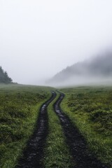 Navigating foggy paths demands a clear vision, empowering you to turn uncertainty into confident steps that lead you closer to your aspirations.