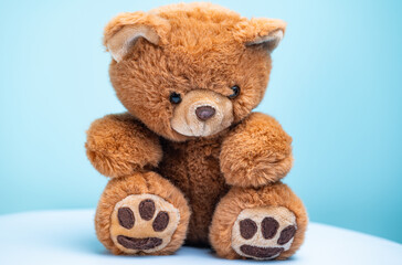 soft toy bear