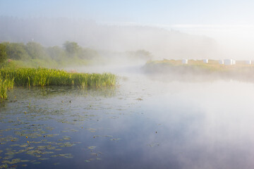 Podlasie, rzeka Biebrza