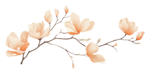 PNG Aesthetic watercolor background flower magnolia plant.