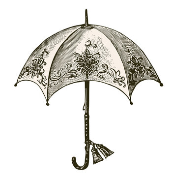 umbrella vintage illustration isolated on transparent background