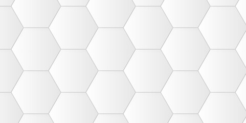 Abstract White Hexagonal Background. Luxury White Pattern. Vector Illustration. 3D Futuristic abstract honeycomb mosaic white background. geometric mesh cell texture. modern futuristic wallpaper.