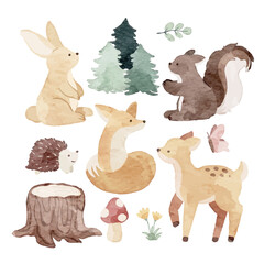 Obraz premium Woodland Animal Watercolor Hand Drawn Element Bundle