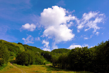 Obraz premium panorama of the aveto valley genoa italy