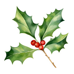Vibrant Watercolor of Festive Holly Sprig with Red Berries and Green Leaves on White Background