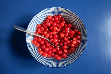 Oregrund, Sweden A bowl of garden fresh red currants on a blue table.