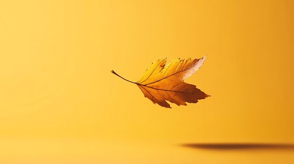 A single brown leaf floating against a yellow background.