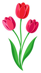 bouquet of pink tulips