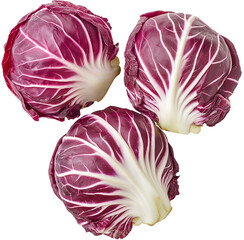 Obraz premium Radicchio vegetable isolated, Radicchio Plant Clipart, Few fresh radicchio Illustration