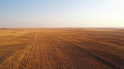 Naklejka premium Bird's-eye view of a desolate, arid landscape, with the dry soil stretching out in every direction under a clear sky.
