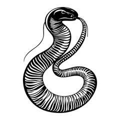 Fototapeta premium black and white animal vector types of animals about animals