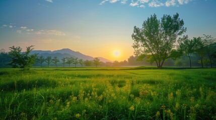 Obraz premium Free good morning scene wallpaper background photo