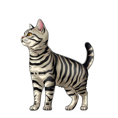 Obraz premium A cute tabby cat with black stripes standing on a black background.