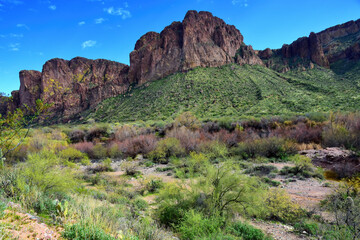 Salt River Recreation Area Arizona