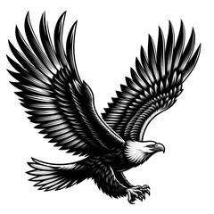 Fototapeta premium Soaring Eagle