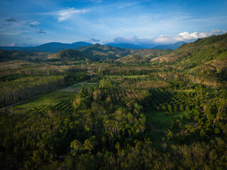 Aerial view morning sunrise with fog river tropical rainforest mountain