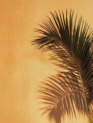 Tropical Vacation Awaits