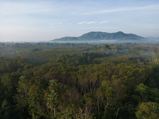 Aerial view morning sunrise with fog river tropical rainforest mountain