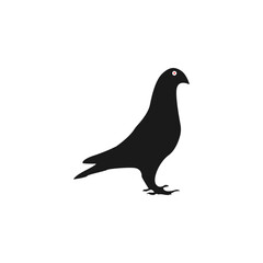 silhouette of pigeon dove vector design