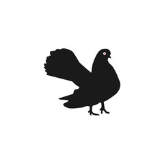 silhouette of a pigeon vector