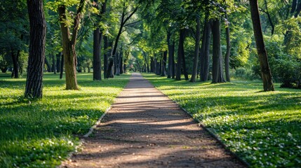 Path Through a Lush Green Forest