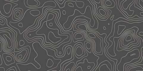 Gray topography map contour texture vector form abstract wallpaper	
