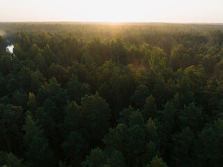 Nature of Estonia, sunrise over leafy forest on a summer morning.