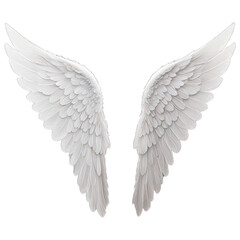 Fototapeta premium Pair of White Angel Wings isolated on transparent background