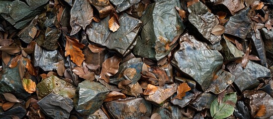texture stones coarse green lichen brown dried leaves following rain blank space. with copy space image. Place for adding text or design