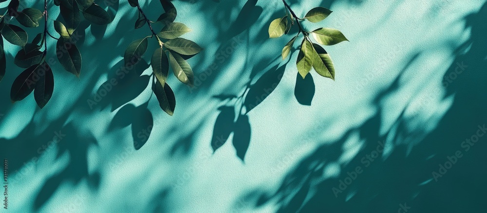 Poster Abstract diagonal shadows of tree leaves on a mint blue wall texture Concept background featuring trendy colored natural lighting Copy space for text overlay poster mockup flat lay top view