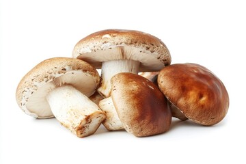 Isolated oyster or trumpet mushrooms with high nutrient and protein content.