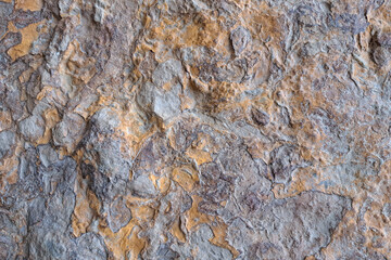 A close-up of textured rock surface with a mix of gray, brown, and orange hues