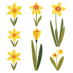 Vector Daffodil simple and minimal
