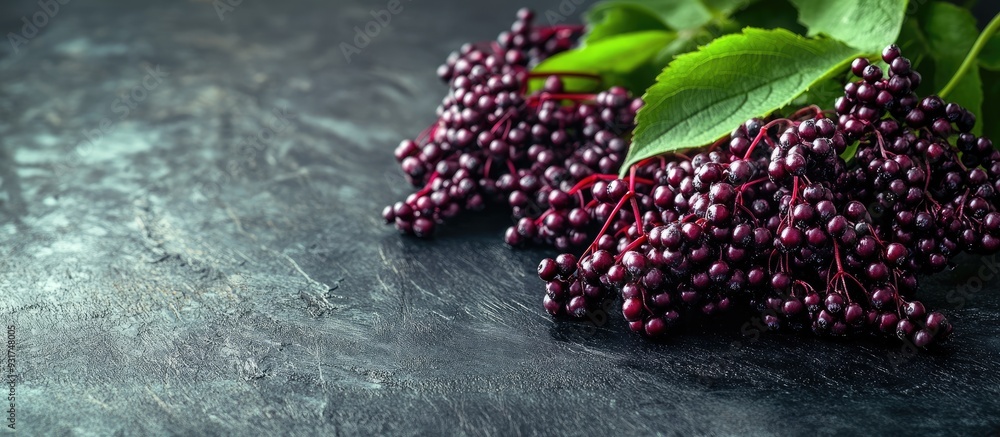 Aufkleber a cluster of elderberry fruits on a black wooden table. with copy space image. place for adding text