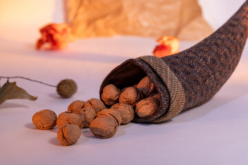 Walnut in a cornucopia with dried leaves and white background